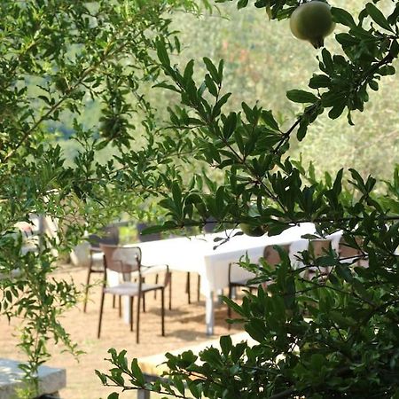 Private Hillside Villa Near Teg Full Privacy Tiranë Luaran gambar